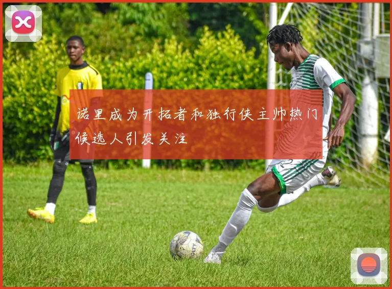 诺里成为开拓者和独行侠主帅热门候选人引发关注