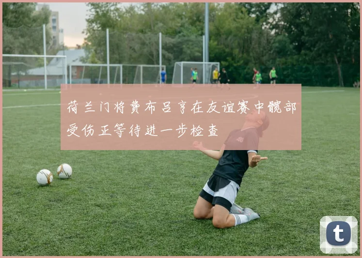 荷兰门将费布吕亨在友谊赛中髋部受伤正等待进一步检查
